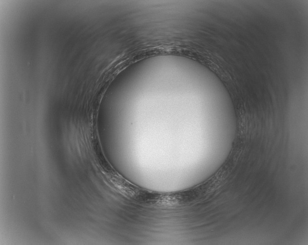 X0000051240656200506170817