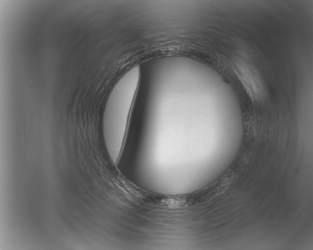 X0000051240660200506170817