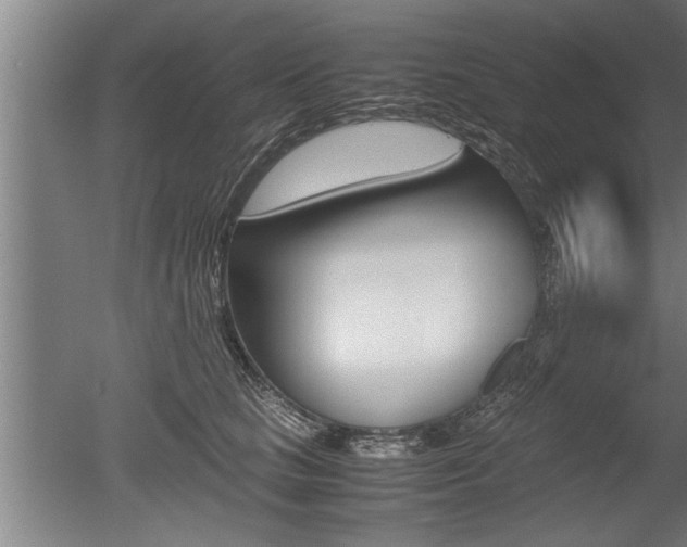 X0000051240661200506170817