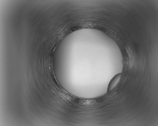X0000051240663200506170817