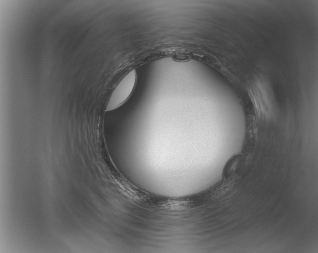 X0000051240664200506170817