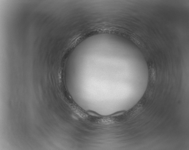 X0000051240668200506170817