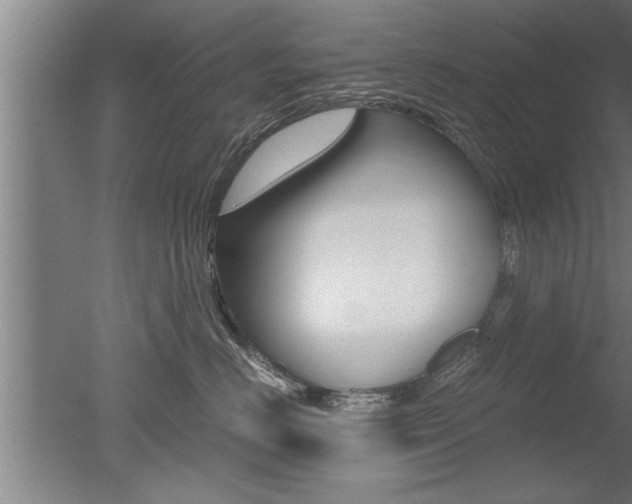 X0000051240670200506170817
