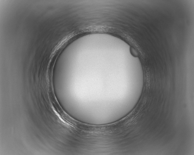 X0000051240674200506170816