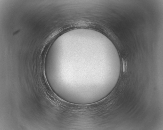 X0000051240675200506170816