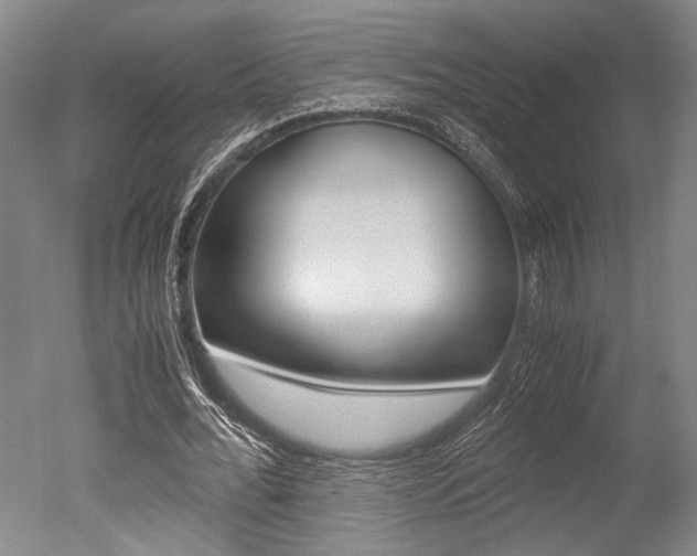 X0000051240676200506170816