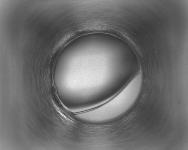 X0000051240677200506170816