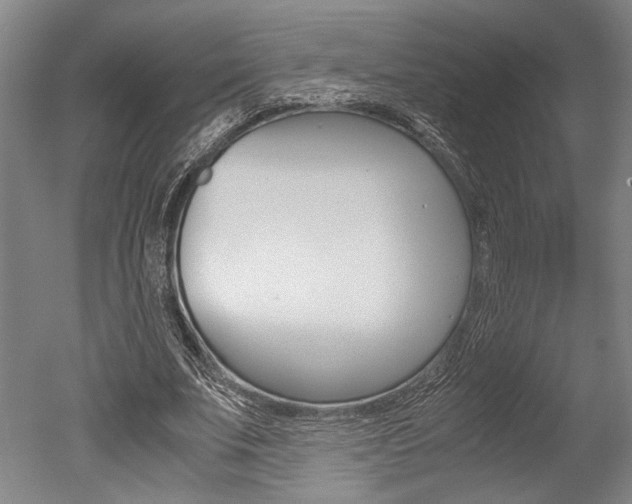 X0000051240679200506170816