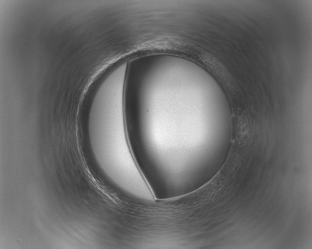 X0000051240680200506170816