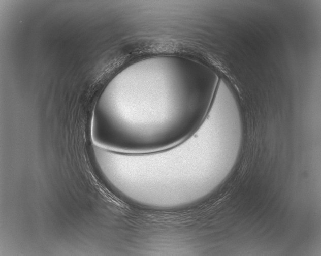 X0000051240681200506170816