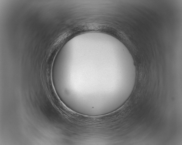X0000051240683200506170816