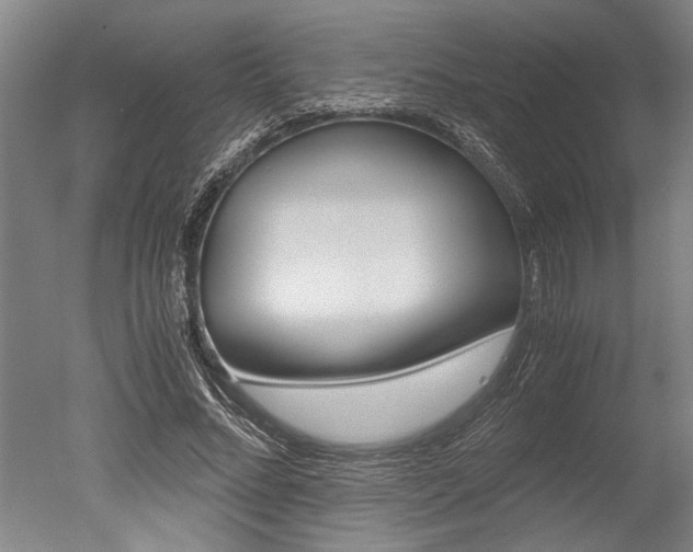 X0000051240684200506170816