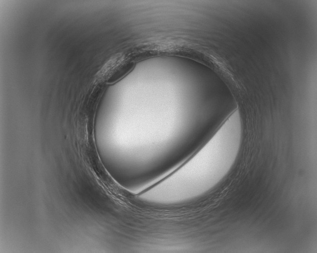 X0000051240685200506170816