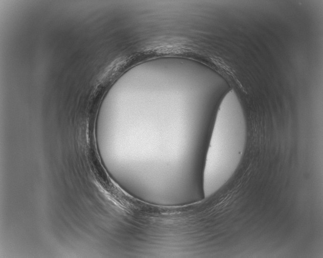 X0000051240686200506170816