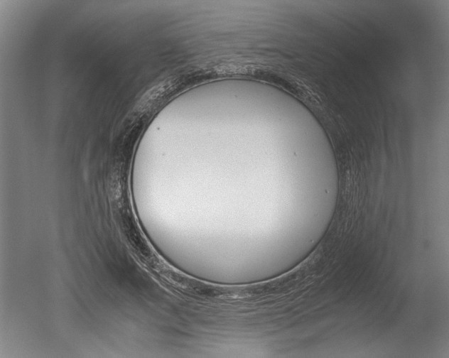 X0000051240687200506170816