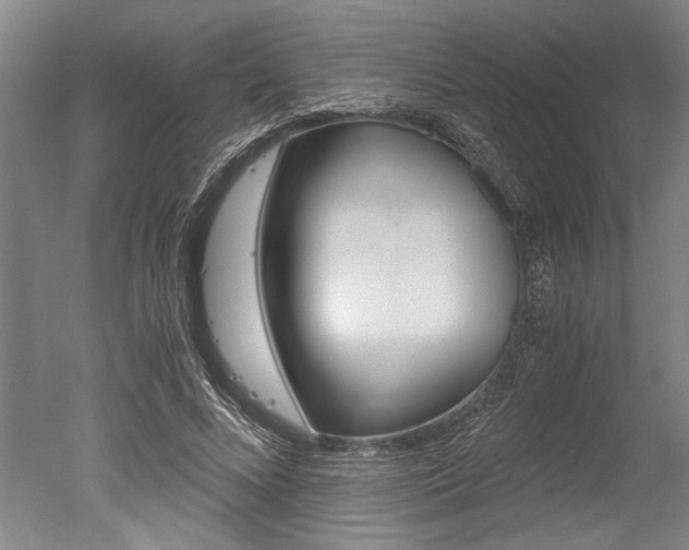 X0000051240688200506170816