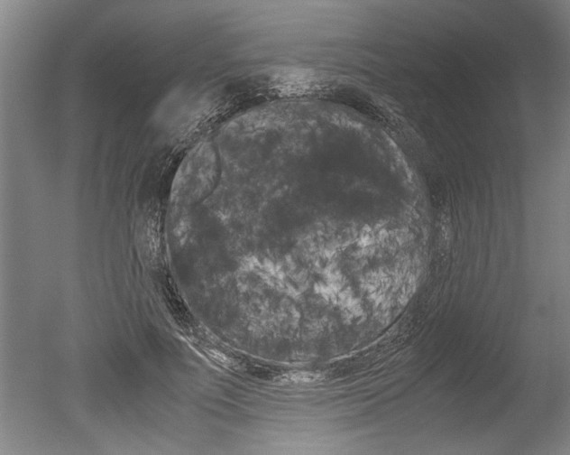 X0000051240691200506170816