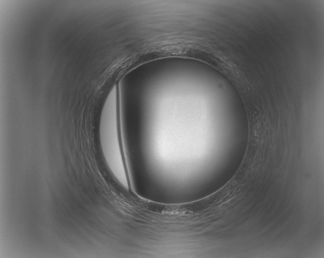 X0000051240693200506170816