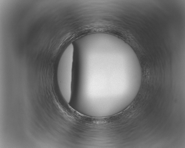 X0000051240694200506170816