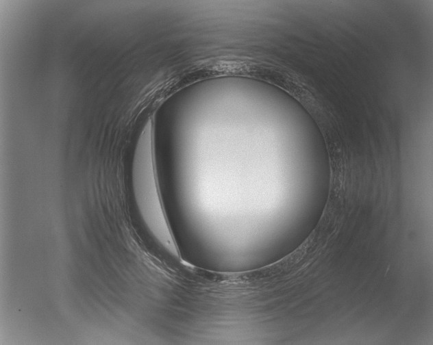 X0000051240696200506170816
