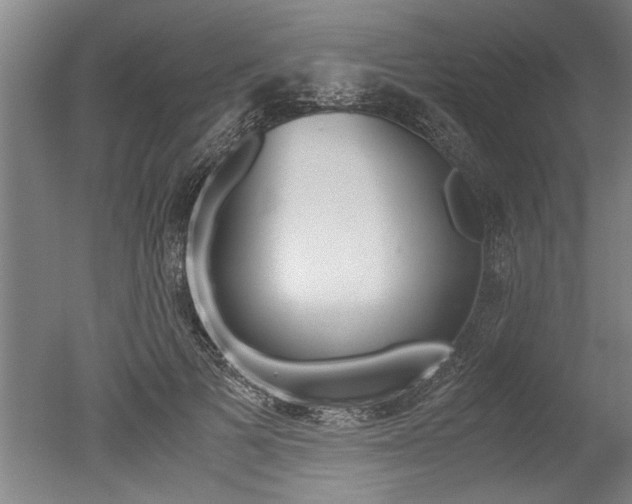 X0000051240697200506170816