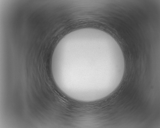 X0000051240701200506170816