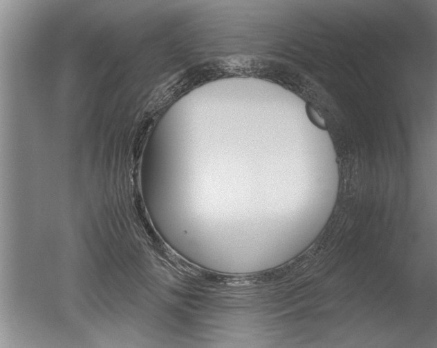X0000051240702200506170816