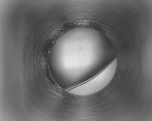 X0000051240704200506170816