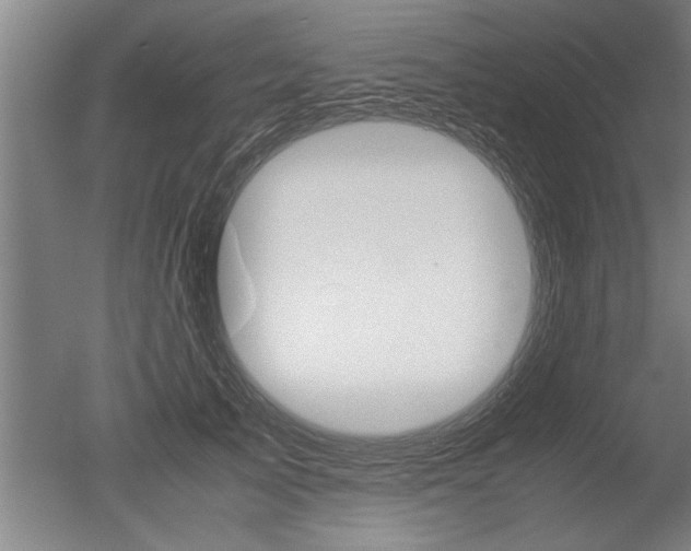 X0000051240705200506170816