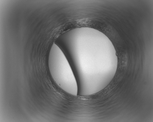 X0000051240706200506170816