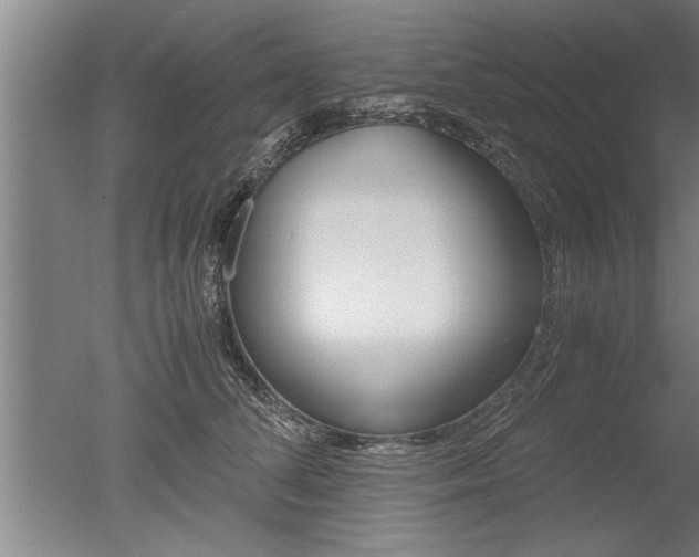 X0000051240708200506170816