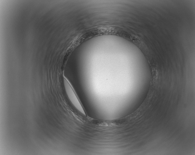 X0000051240712200506170816
