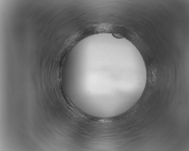 X0000051240714200506170816
