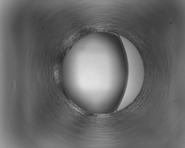 X0000051240720200506170816