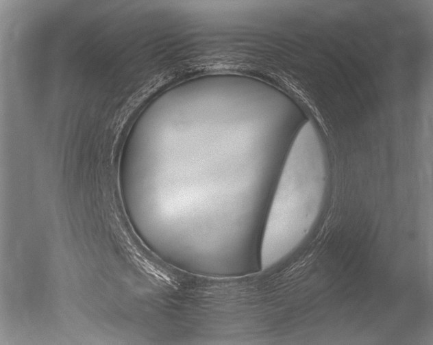 X0000051240721200506170815