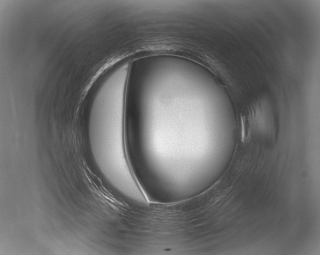 X0000051240723200506170815