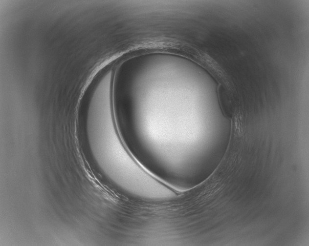 X0000051240724200506170815
