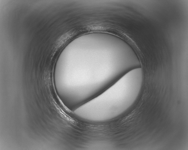 X0000051240725200506170815