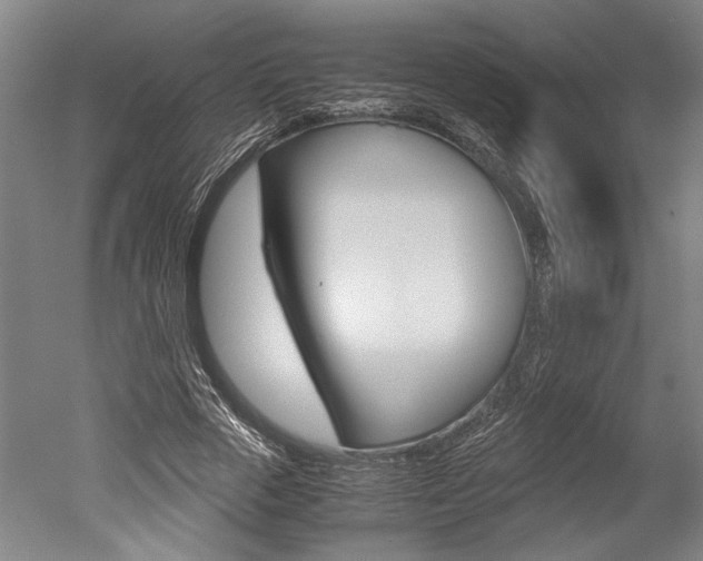 X0000051240729200506170815