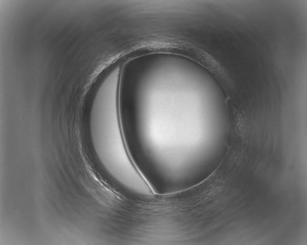 X0000051240732200506170815