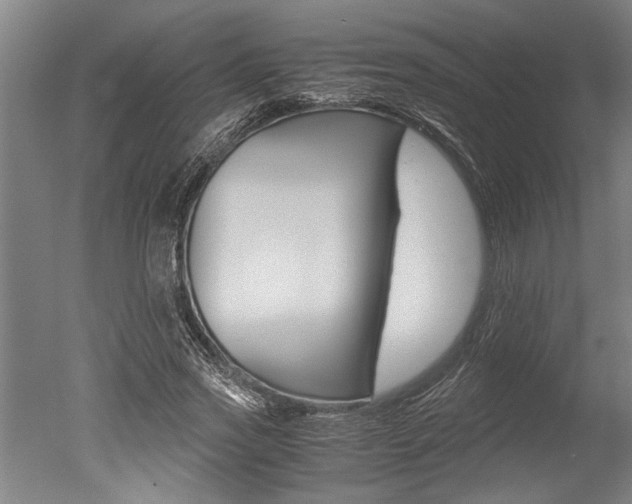 X0000051240733200506170815