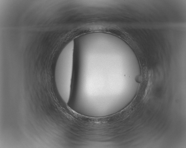 X0000051240737200506170815