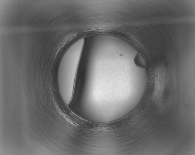 X0000051240738200506170815