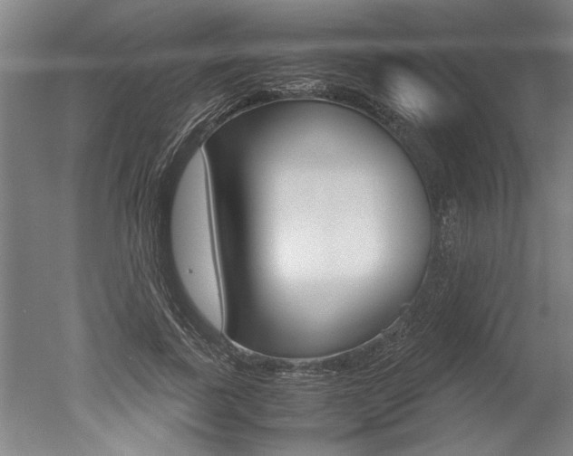 X0000051240739200506170815