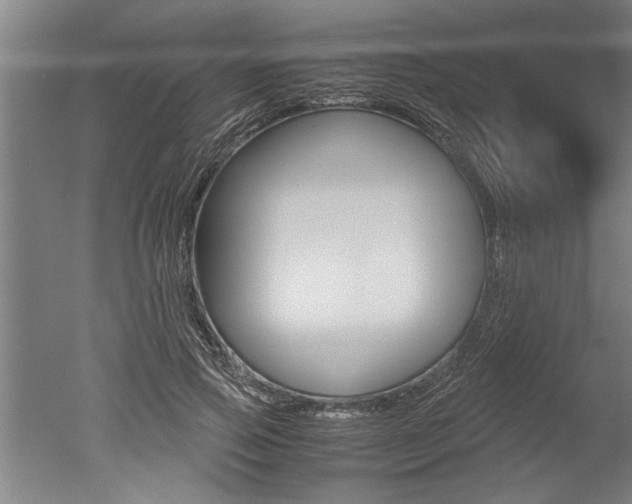 X0000051240741200506170815