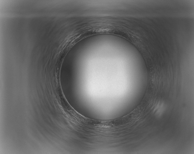 X0000051240743200506170815