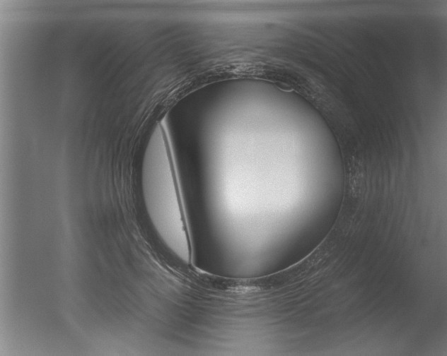 X0000051240748200506170815