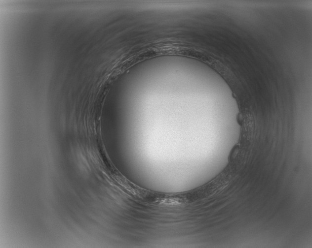 X0000051240751200506170815