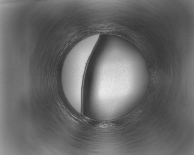 X0000051240752200506170815