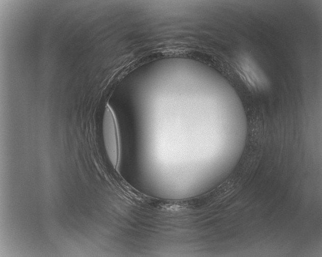 X0000051240755200506170815